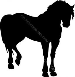 Horse Silhouette
